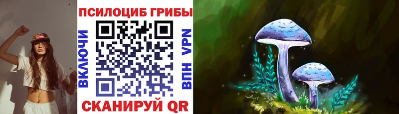 Псилоцибиновые грибы Cubensis  Петушки 